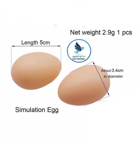 بيض دجاج بلاستيك