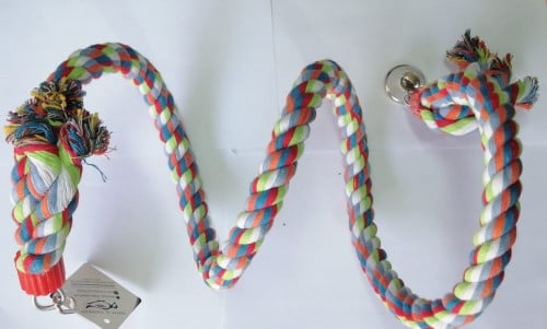 العاب ببغاوات 0053