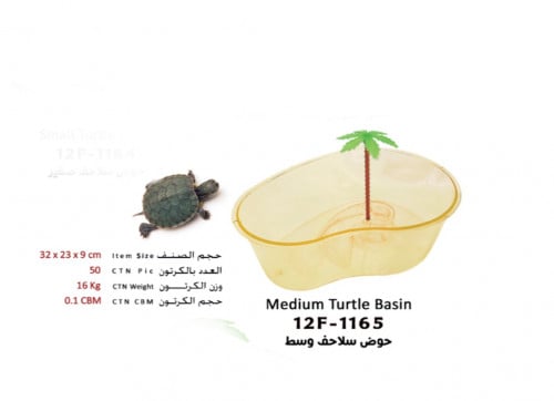 حوض سلاحف وسط