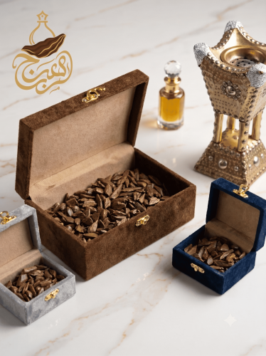 عود ميني مروكي سوبر مرتفع