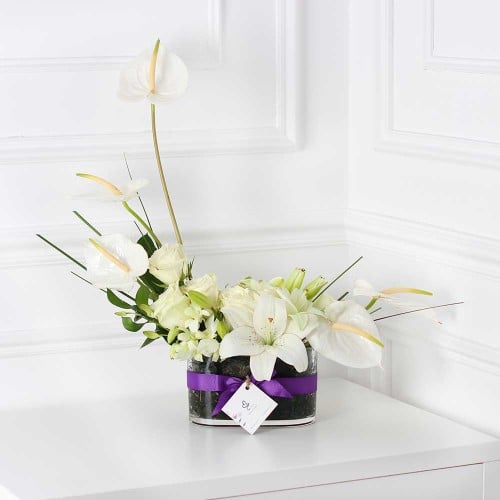 فازة الانتونيوم ابيض