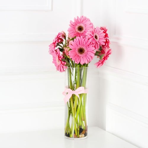 فازة الجربيرا وردي