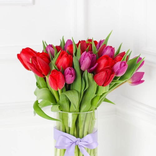 فازة التوليب احمر وبنفسجي