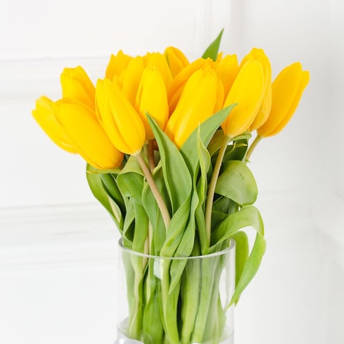 فازة التوليب الاصفر