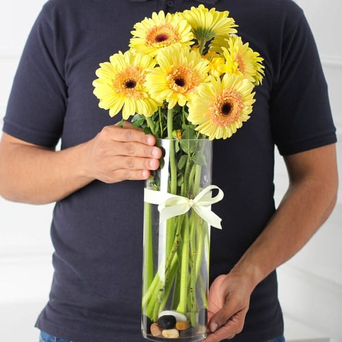 فازة الجربيرا اصفر