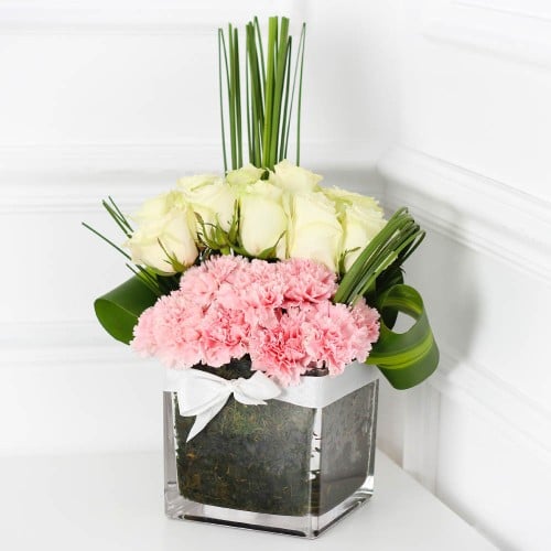 فازة شمس العمر