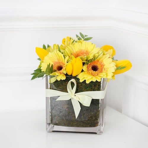 فازة الجربيرا والتوليب اصفر