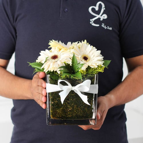 فازة الجربيرا ابيض