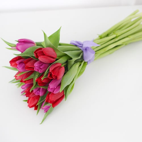 باقة التوليب احمر وبنفسجي