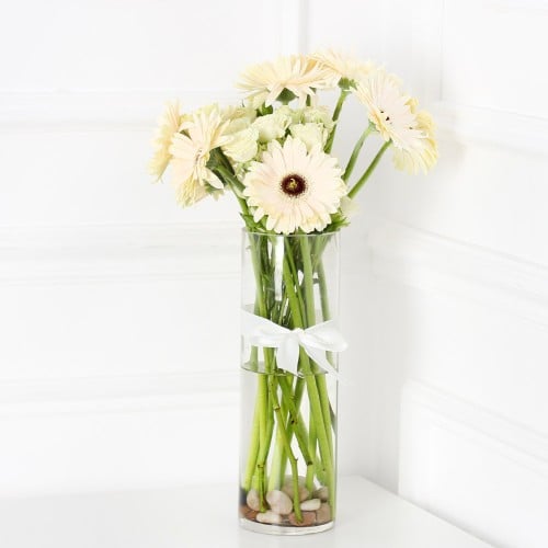 فازة الجربيرا ابيض