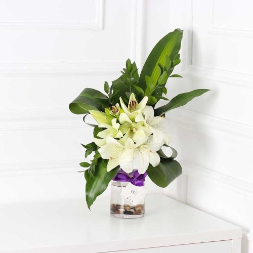 فازة الليليوم