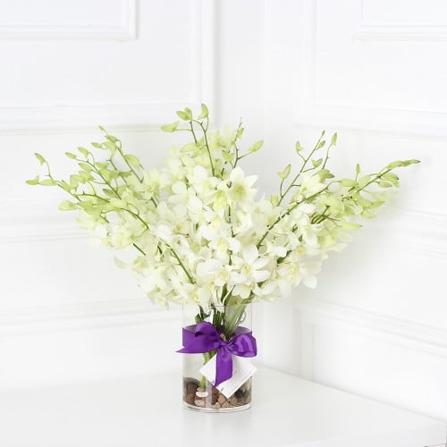 فازة الاوركيد ابيض