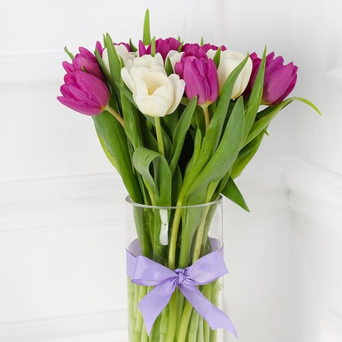 فازة التوليب ابيض وبنفسجي