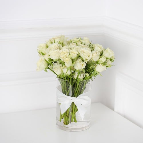 فازة بيبي جوري ابيض