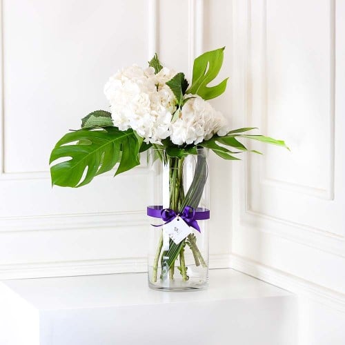 فازة الهيدرونجا ابيض