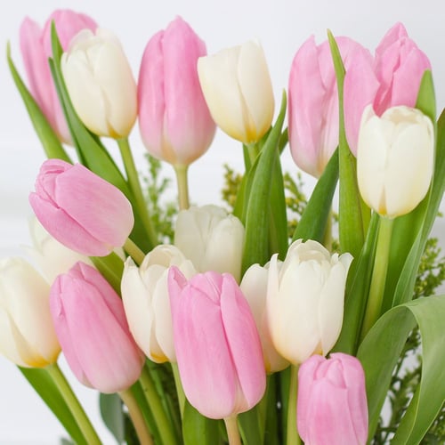 فازة بنة الحسن