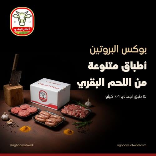 بوكس البروتين