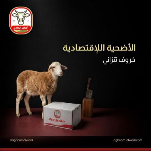 الاضحية الاقتصادية