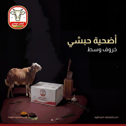اضحية حبشي