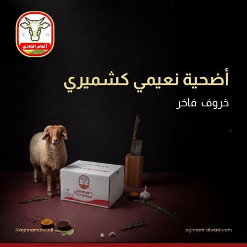 اضحية نعيمي كشميري