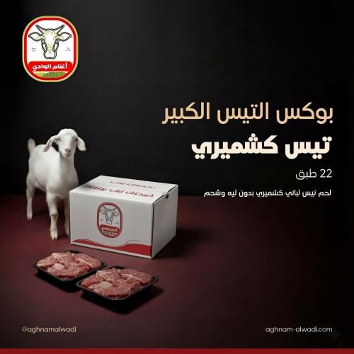 بوكس التيس الكبير