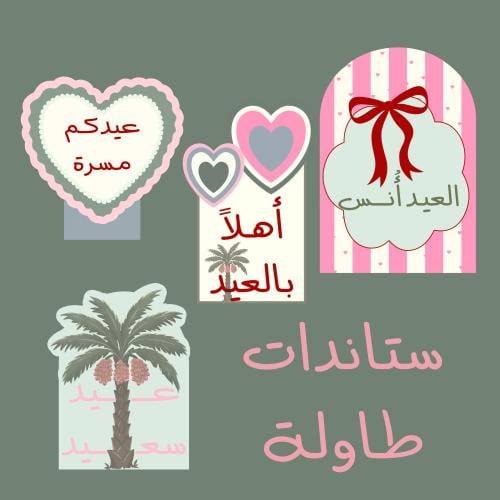 زينة أُنس 2