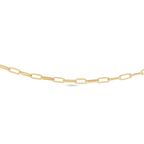 سلسال مطلي بالذهب