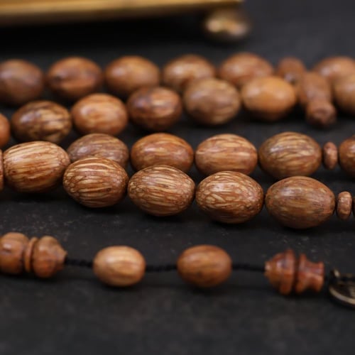 ثمرة جوز الهند الطبيعي