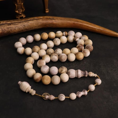 قرن غزال طبيعي حجم راهي