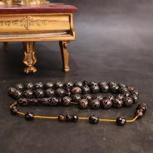 ظهر سلحفاة بالفضة المميزة