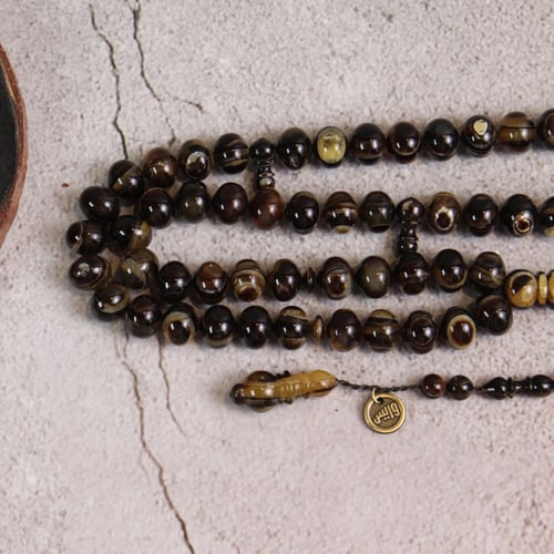 سبحة ظهر السلحفاة ( ترسة ) ذروي