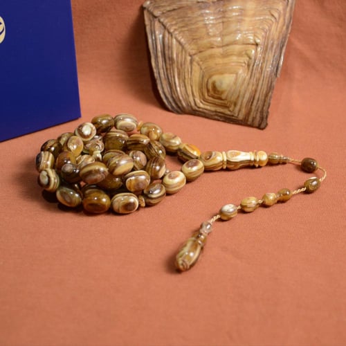 قطعة فريدة ظهر سلحفاة برية