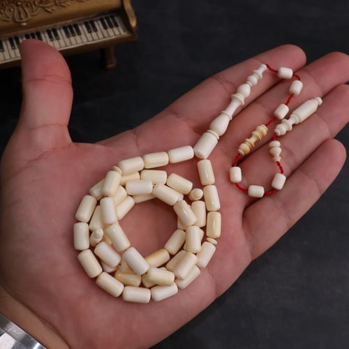 سبحة أسنان فرس النهر