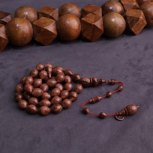 فاتوران ضبعة زيتوني