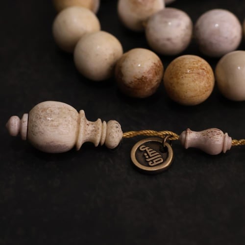 قرن غزال طبيعي حجم راهي