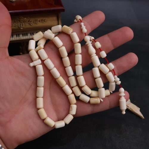 سبحة أسنان فرس النهر