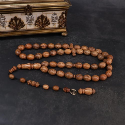 ثمرة جوز الهند الطبيعي