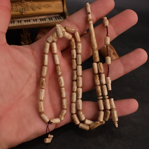 يسر وردي من البحر الأحمر
