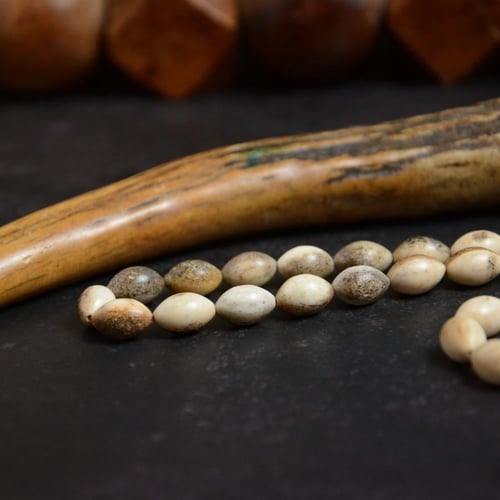 سبحة طبيعية من قرن الغزال