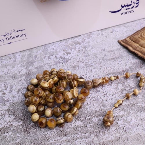 سبحة ظهر سلحفاة برية ذروي