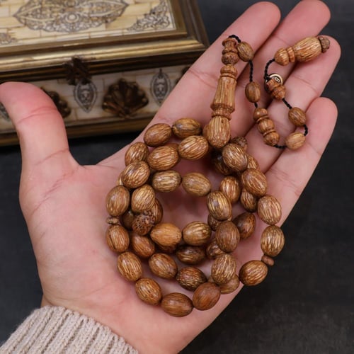 ثمرة جوز الهند الطبيعي