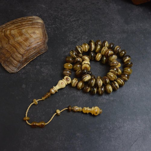 قطعة فريدة ظهر سلحفاة برية ذروي