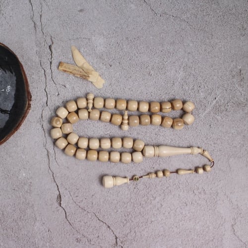 قطعة فريدة من عاج الماموث المنقرض