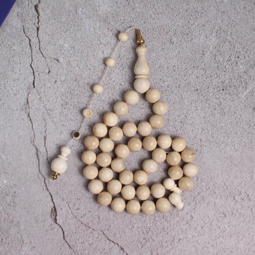 قطعة فريدة من عاج الماموث المنقرض