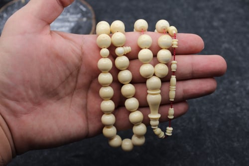 سبحة ناب حوت العنبر