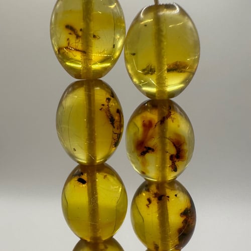 سبحة كهرمان حشري طبيعي