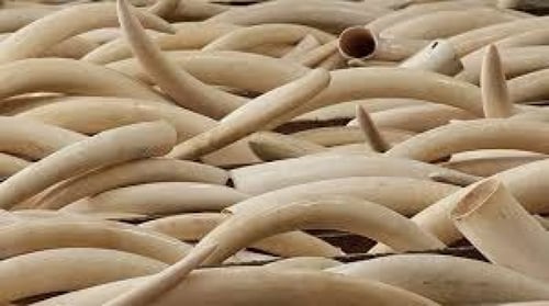 مسباح عاج مع الفيروز والفضة