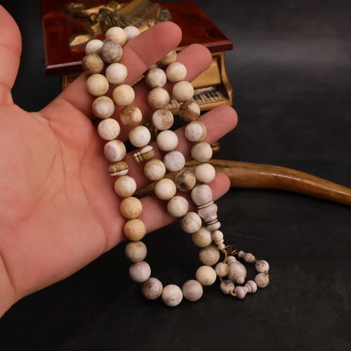 قرن غزال طبيعي حجم راهي