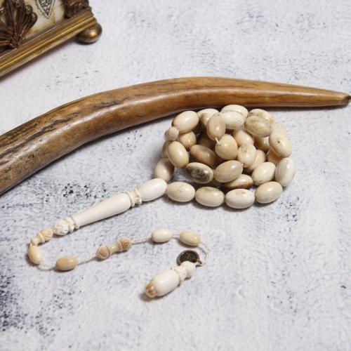 سبحة قرن الغزال الأيل الأوروبي