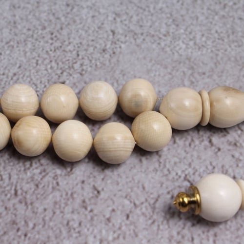 قطعة فريدة من عاج الماموث المنقرض